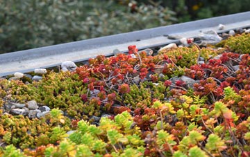 the cost of Molescroft green roof installation