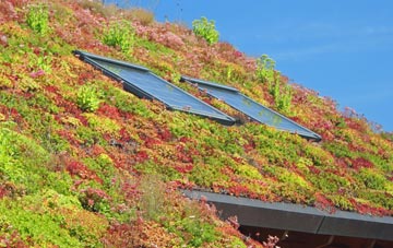 Molescroft living roof systems