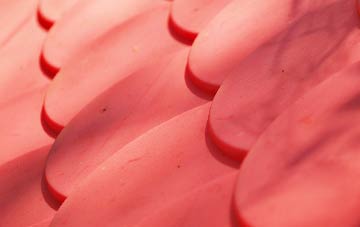 Molescroft plastic roof costs