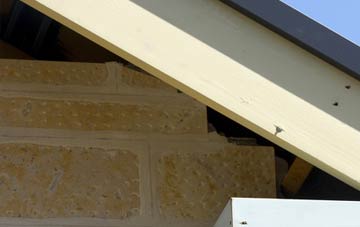 soffit repair Molescroft