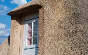 Molescroft thatch roof disadvantages