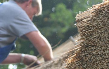 professional Molescroft thatchers