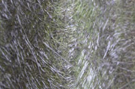 Molescroft fibreglass roof work